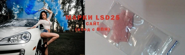 ГАЛЛЮЦИНОГЕННЫЕ ГРИБЫ Козловка
