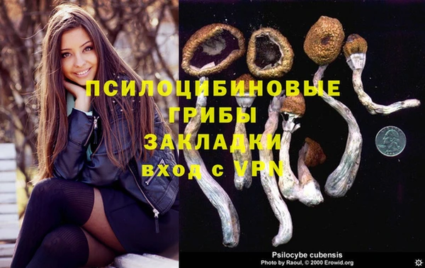 стафф Армянск