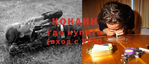 хмурый Алексин