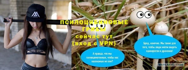 эйфоретик Алзамай