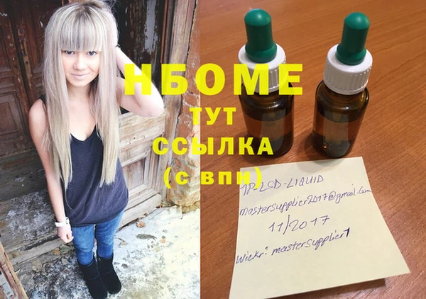 хмурый Алексин